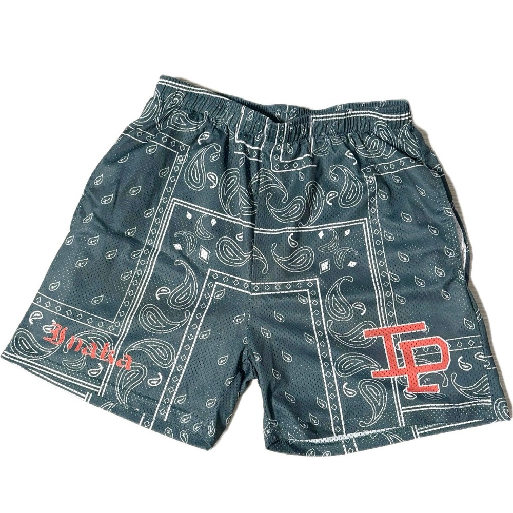 Inaka Power Classic Paisley Mesh Shorts